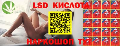 кокс Кингисепп
