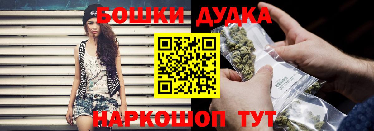 Конопля сатива Георгиевск